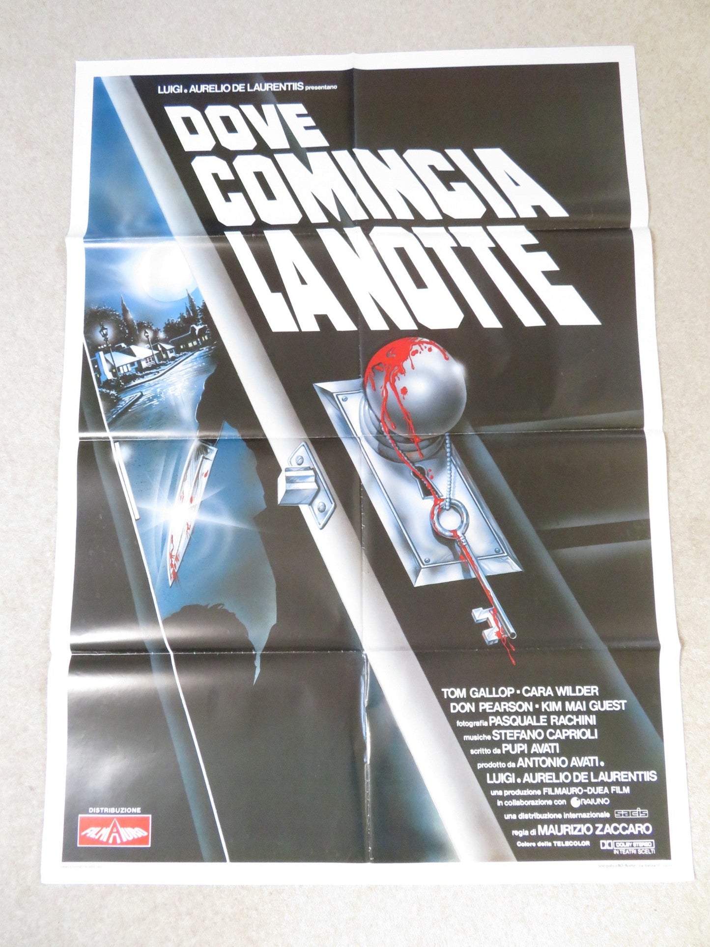 WHERE THE NIGHT BEGINS ITALIAN 2 FOGLIO POSTER TOM GALLOP CARA WILDER 1991 Rendezvous Cinema Movie posters