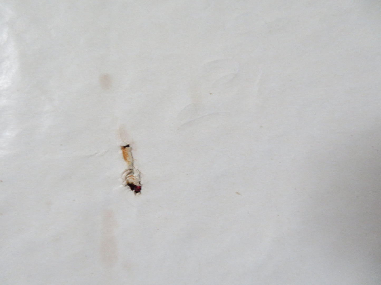 WHERE WERE YOU WHEN THE LIGHTS WHEN OUT? FOLDED US ONE SHEET POSTER D. DAY 1968 Rendezvous Cinema Movie posters