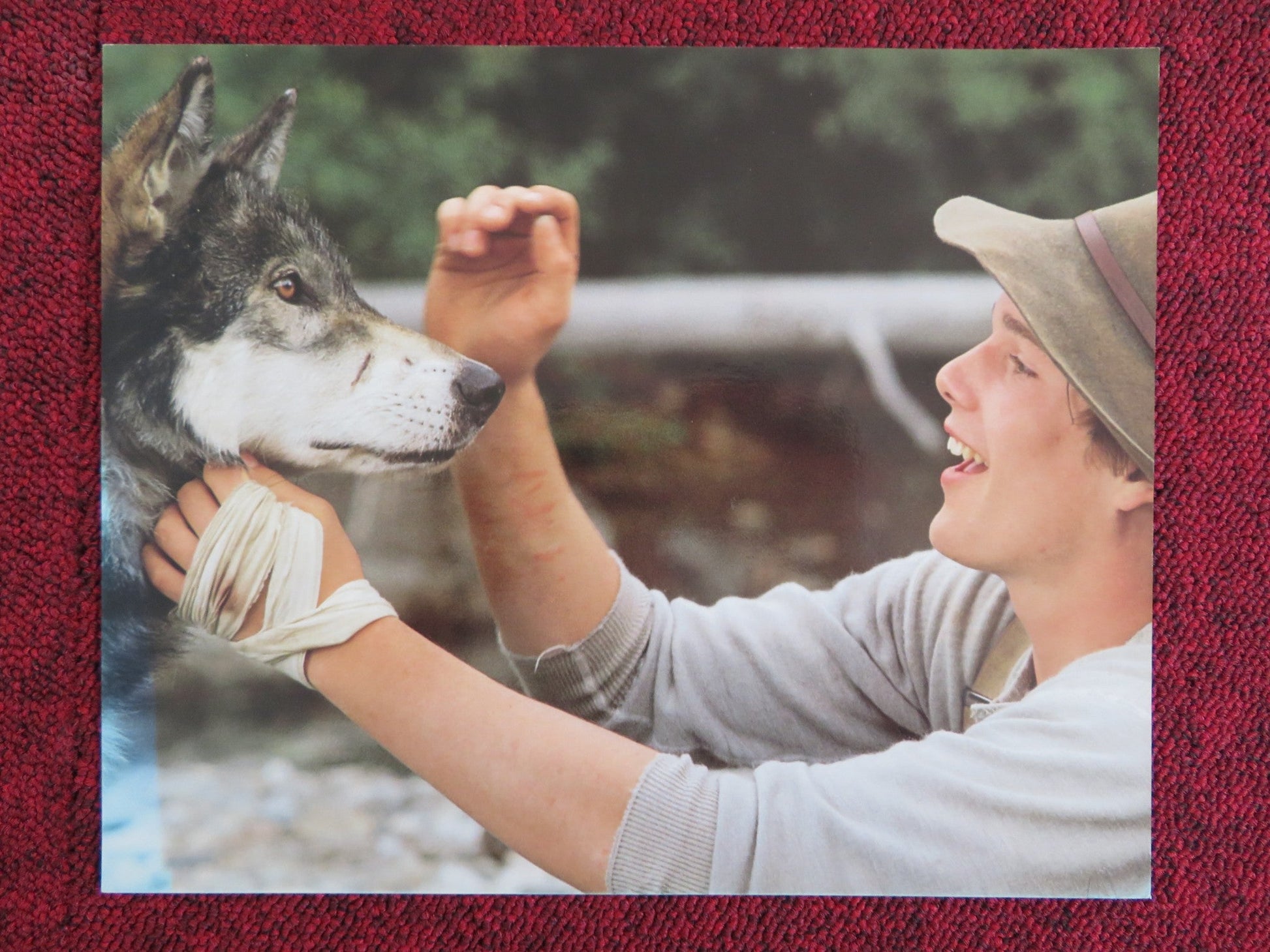 WHITE FANG - C LOBBY CARD ETHAN HAWKE KLAUS BRANDAUER 1991 Rendezvous Cinema Movie posters