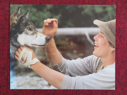 WHITE FANG - C LOBBY CARD ETHAN HAWKE KLAUS BRANDAUER 1991 Rendezvous Cinema Movie posters