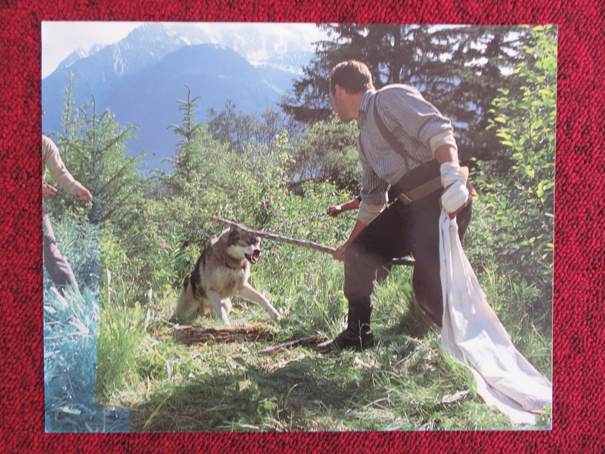 WHITE FANG - D LOBBY CARD ETHAN HAWKE KLAUS BRANDAUER 1991 Rendezvous Cinema Movie posters