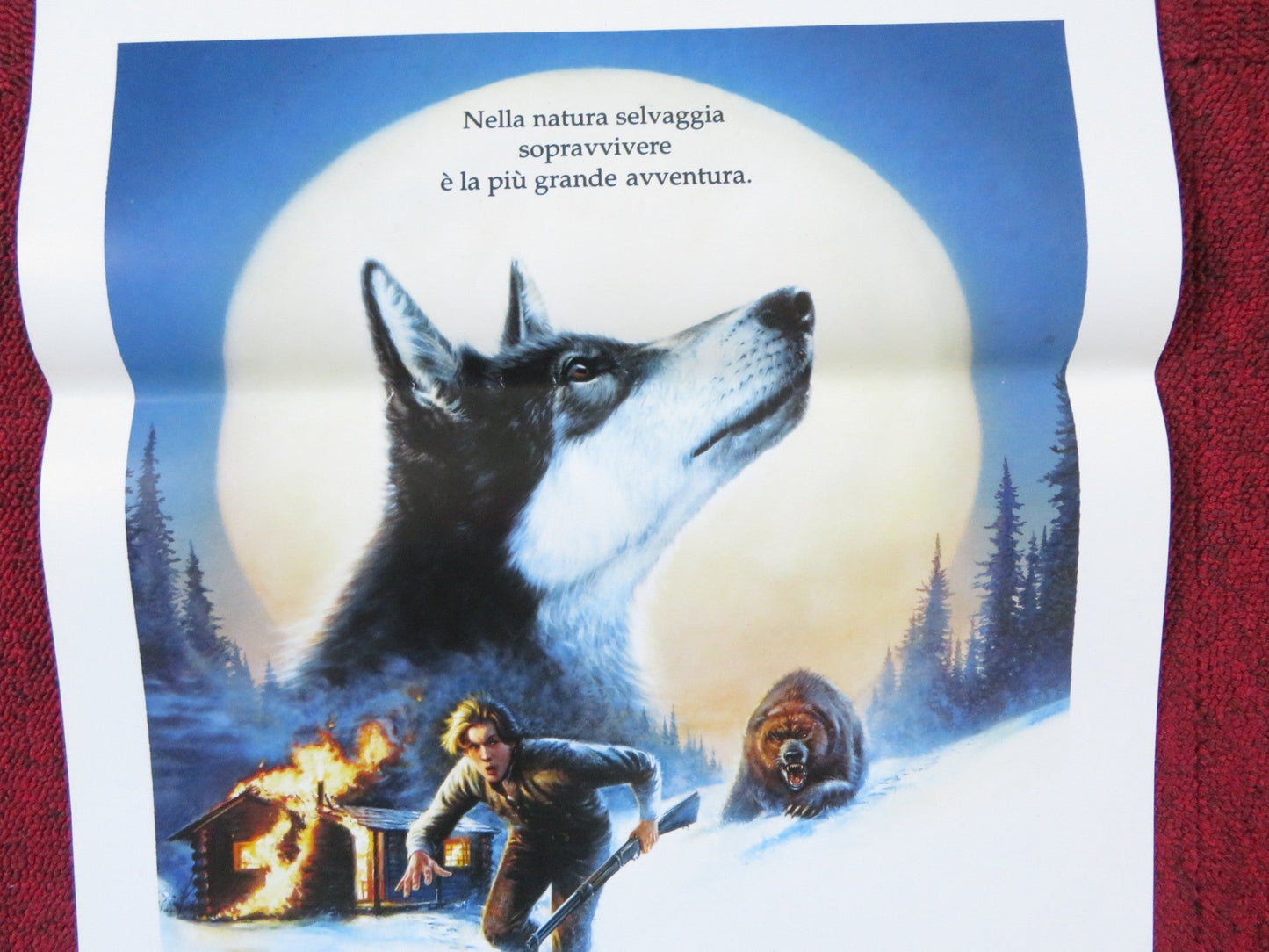WHITE FANG ITALIAN LOCANDINA POSTER DISNEY ETHAN HAWKE 1991 Rendezvous Cinema Movie posters