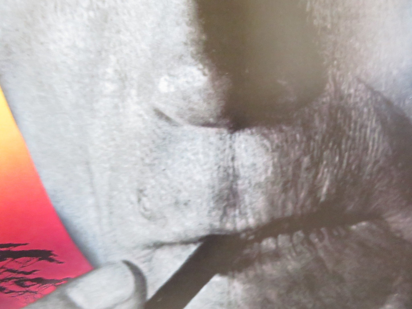 WHITE HUNTER BLACK HEART US ONE SHEET ROLLED POSTER CLINT EASTWOOD FAHEY 1990 Rendezvous Cinema Movie posters