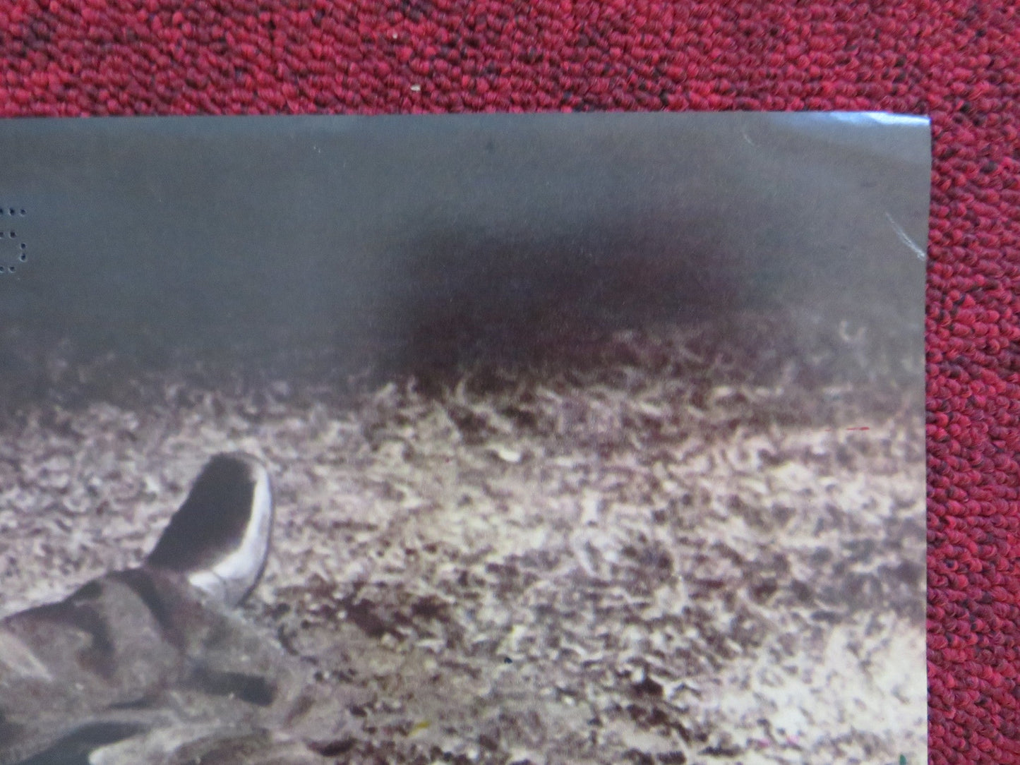 WHITE LINE FEVER - B ITALIAN FOTOBUSTA POSTER JAN - MICHAEL VINCENT KAY LENZ 1975 Rendezvous Cinema Movie posters