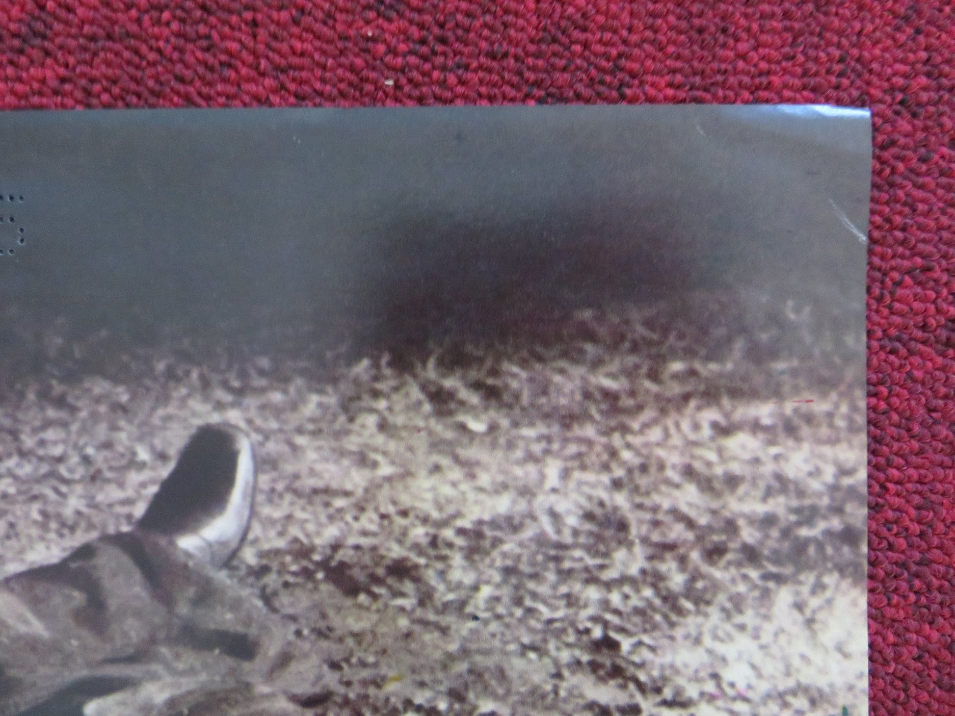 WHITE LINE FEVER - B ITALIAN FOTOBUSTA POSTER JAN - MICHAEL VINCENT KAY LENZ 1975 Rendezvous Cinema Movie posters