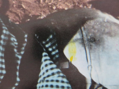 WHITE LINE FEVER - B ITALIAN FOTOBUSTA POSTER JAN - MICHAEL VINCENT KAY LENZ 1975 Rendezvous Cinema Movie posters