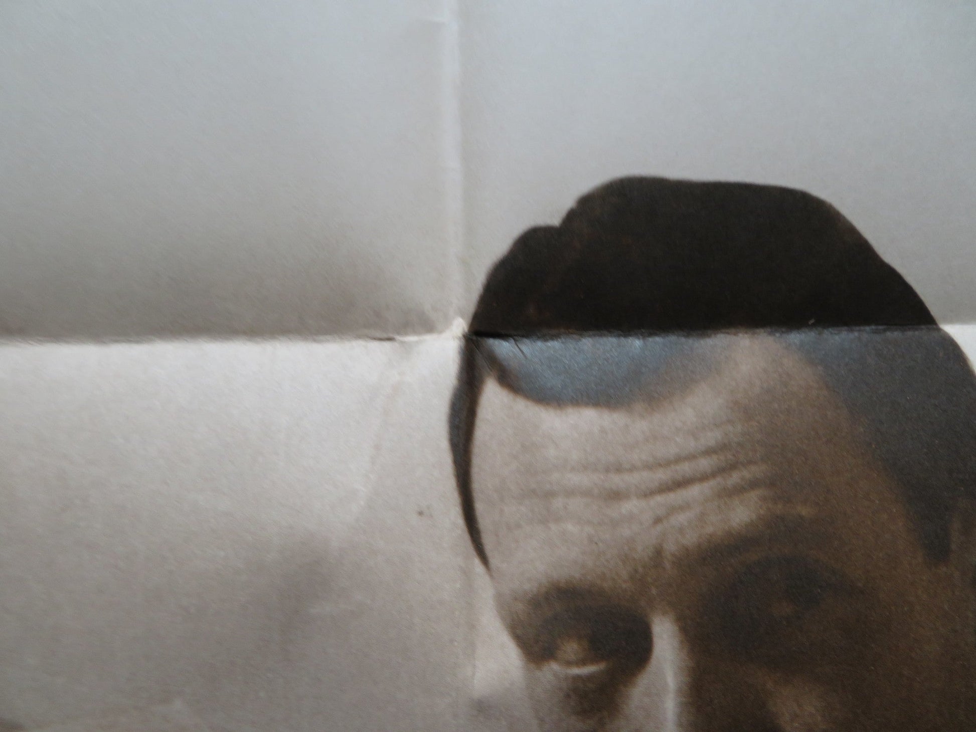 WHY ROCK THE BOAT FOLDED US ONE SHEET POSTER STUART GILLARD TIIU LEEK 1974 Rendezvous Cinema Movie posters