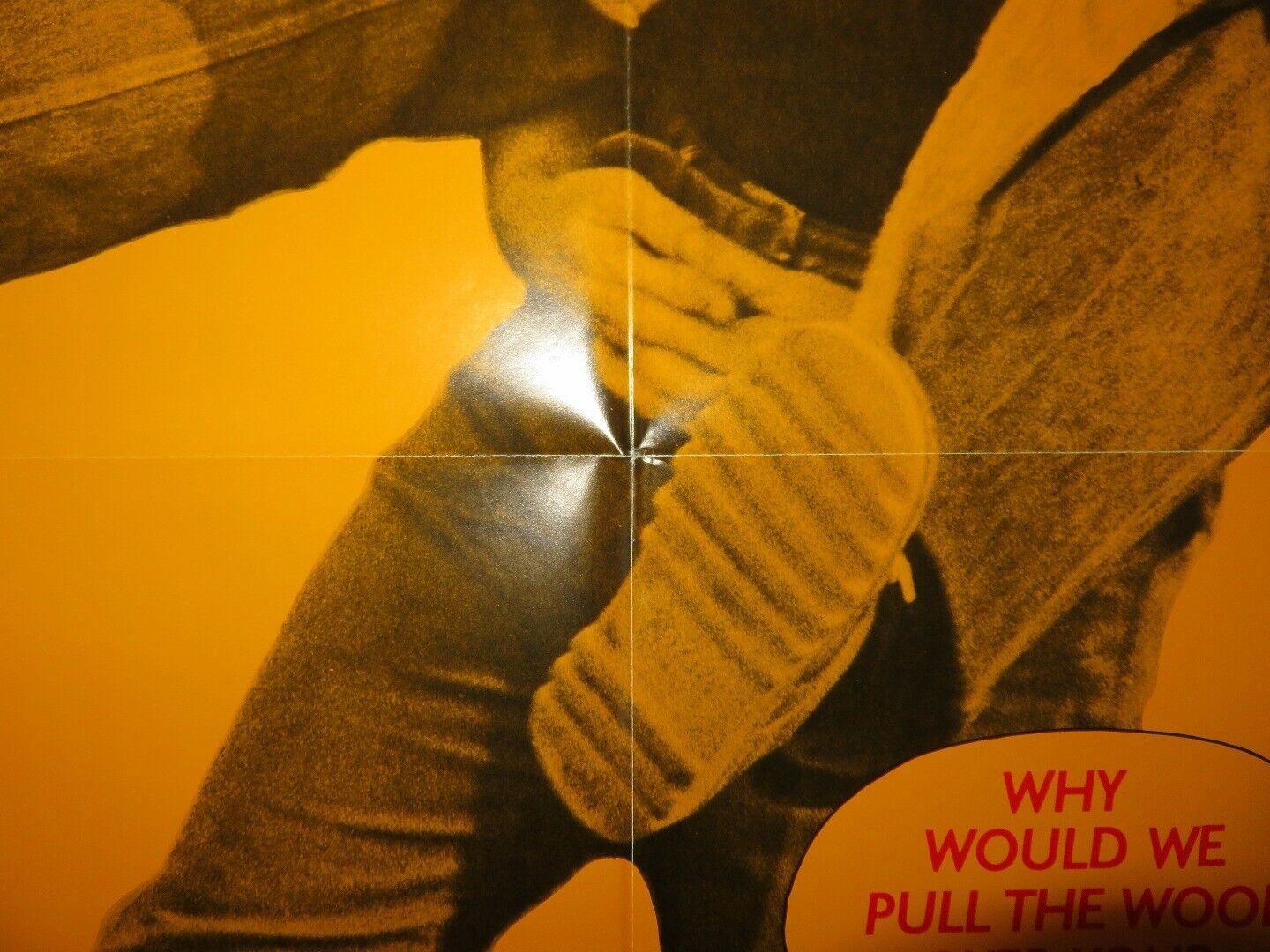 WHY WOULD I LIE? STYLE B US ONE SHEET POSTER TREAT WILLIAMS LISA EICHHORN 1980 Movie posters