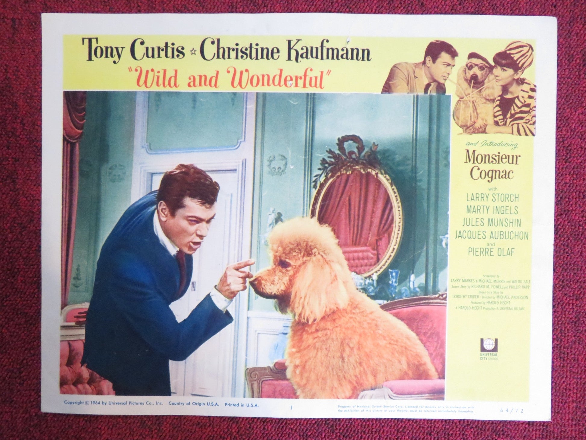 WILD AND WONDERFUL US LOBBY CARD FULL SET TONY CURTIS CHRISTINE KAUFMANN 1964 Rendezvous Cinema Movie posters