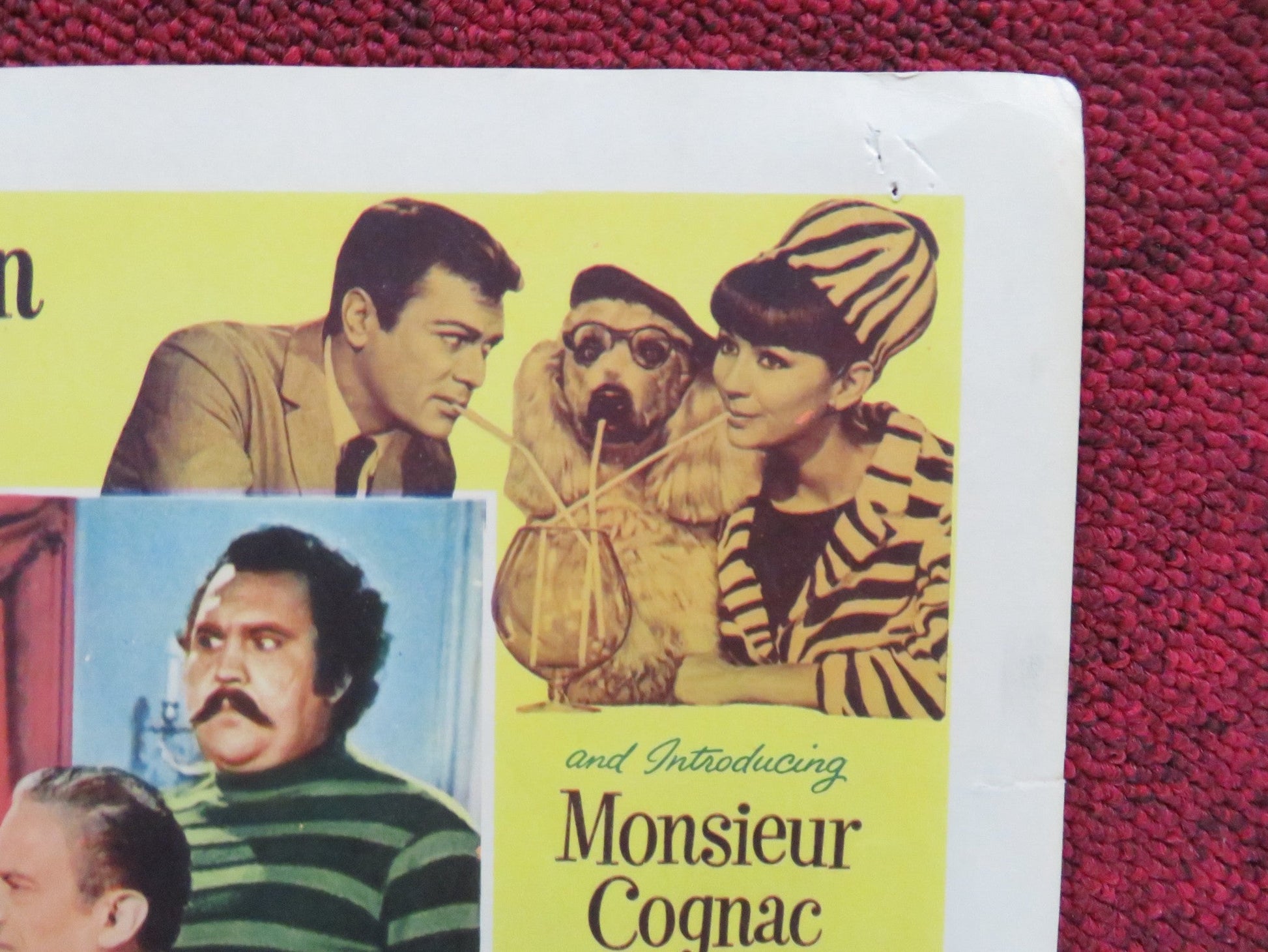 WILD AND WONDERFUL US LOBBY CARD FULL SET TONY CURTIS CHRISTINE KAUFMANN 1964 Rendezvous Cinema Movie posters