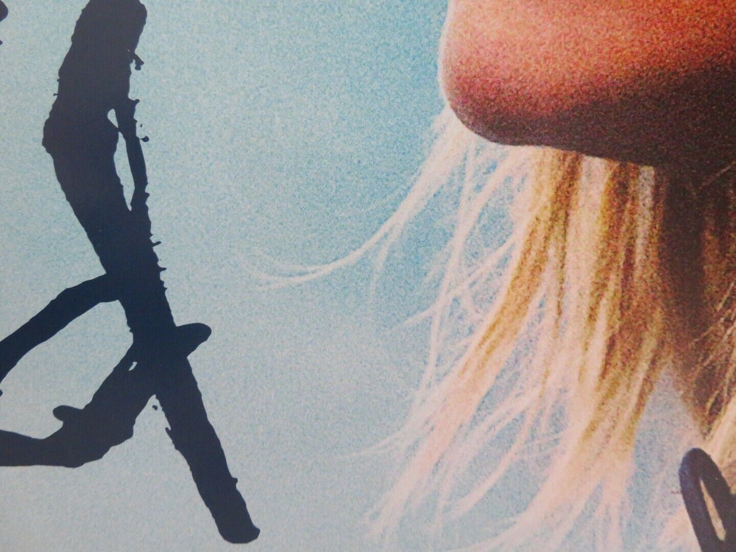 WILD CAMPAIGN - B US ONE SHEET ROLLED POSTER REESE WITHERSPOON LAURA DERN 2014 Movie posters