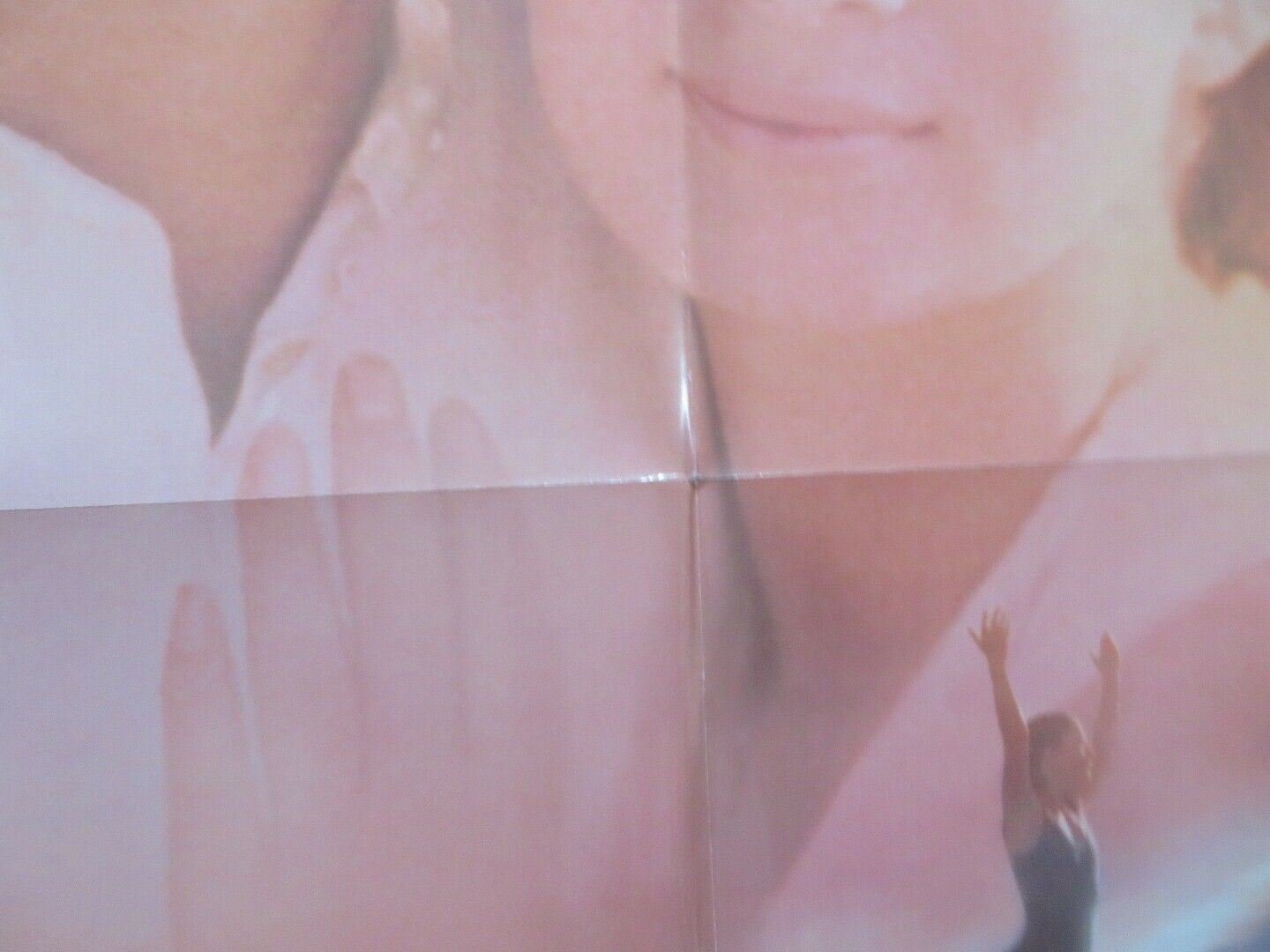 WILD HEARTS CAN'T BE BROKEN US ONE SHEET POSTER DISNEY STEVE MINER 1991 Rendezvous Cinema Movie posters