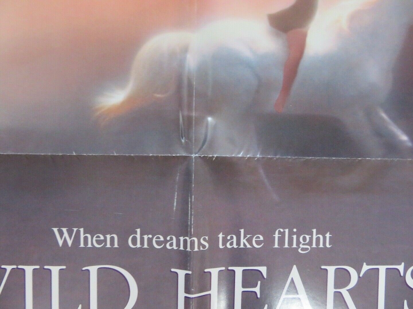 WILD HEARTS CAN'T BE BROKEN US ONE SHEET POSTER DISNEY STEVE MINER 1991 Rendezvous Cinema Movie posters