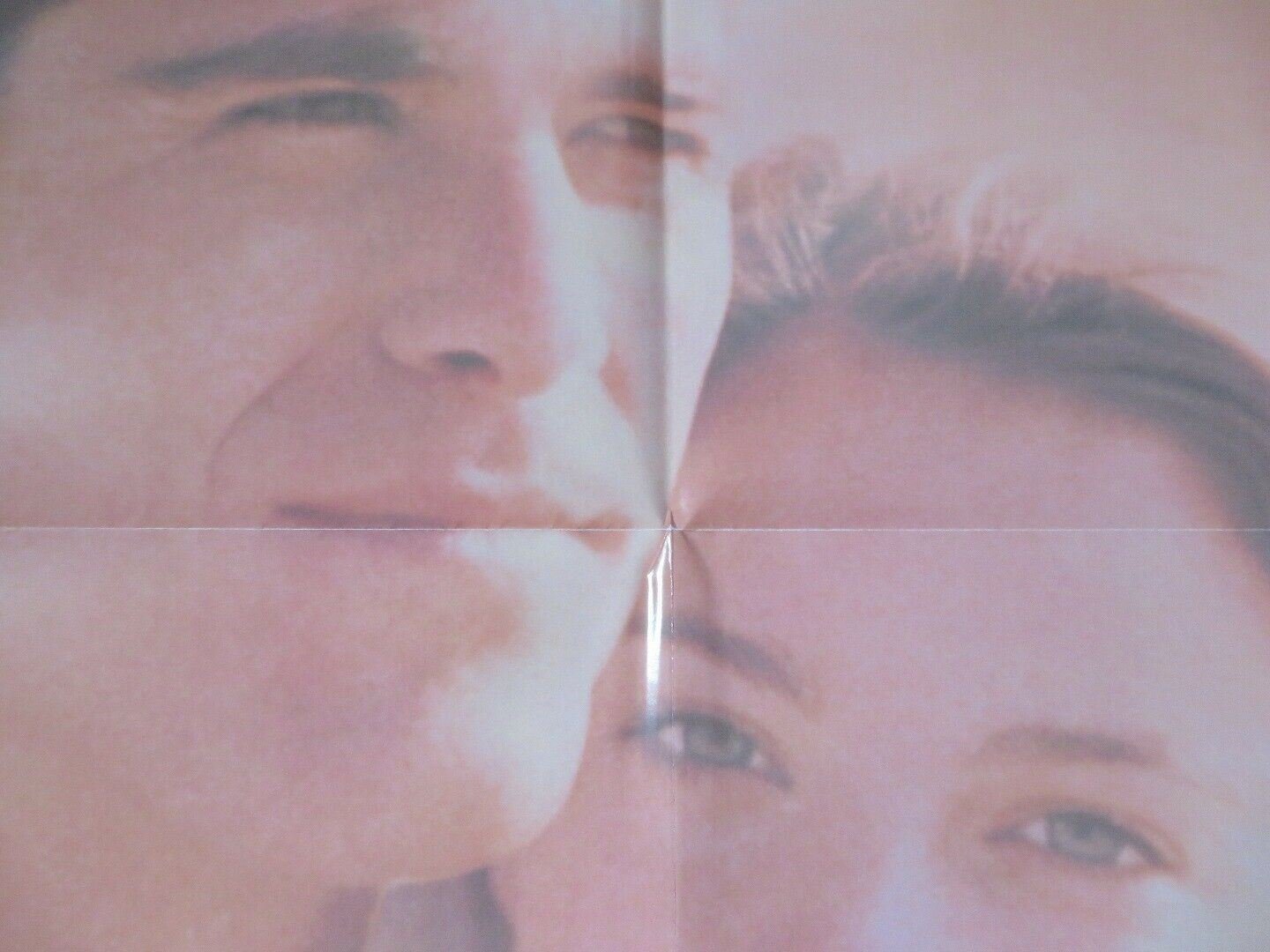 WILD HEARTS CAN'T BE BROKEN US ONE SHEET POSTER DISNEY STEVE MINER 1991 Rendezvous Cinema Movie posters