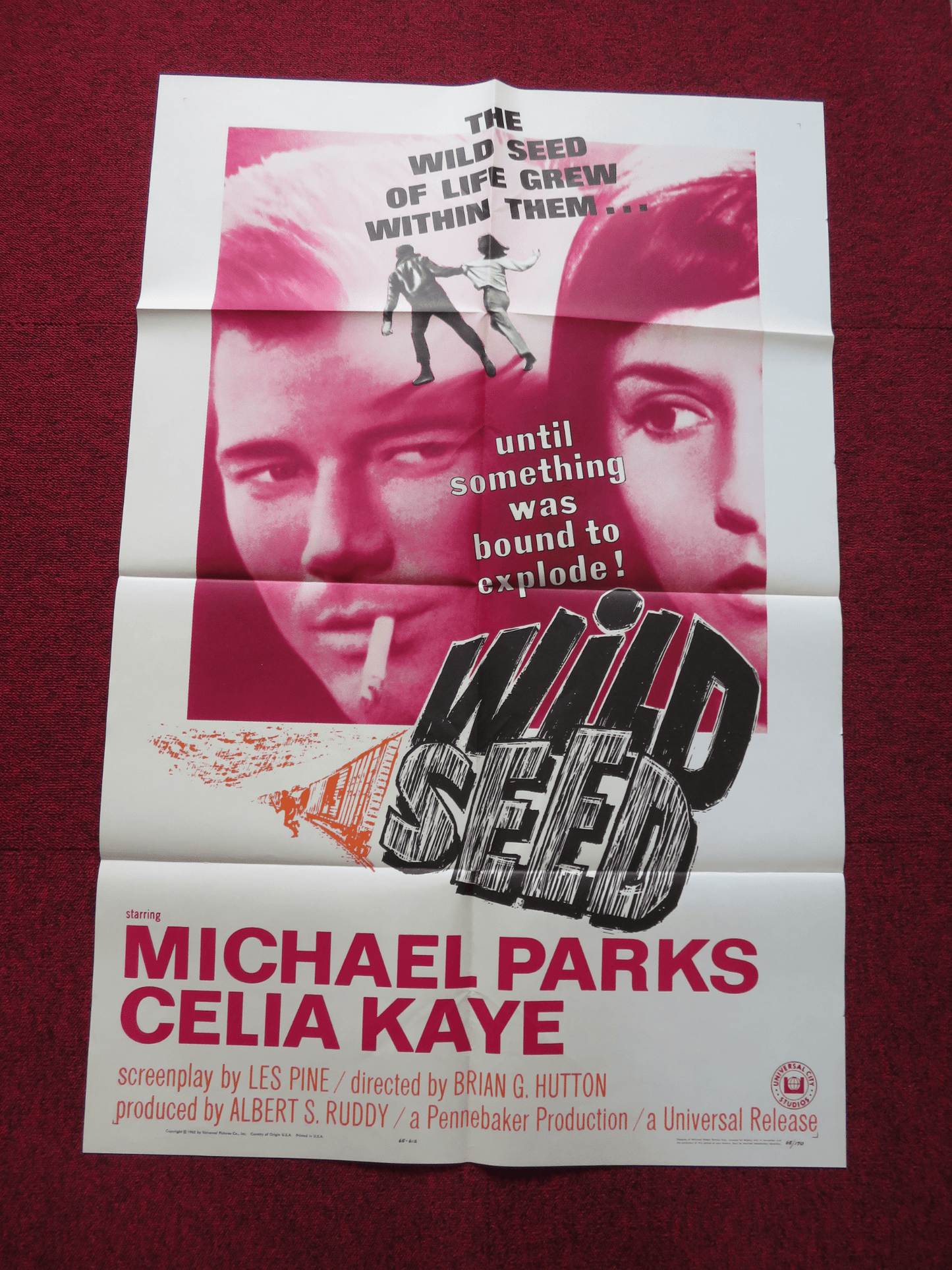 WILD SEED FOLDED US ONE SHEET POSTER MICHAEL PARKS CELIA KAYE 1965 Rendezvous Cinema Movie posters