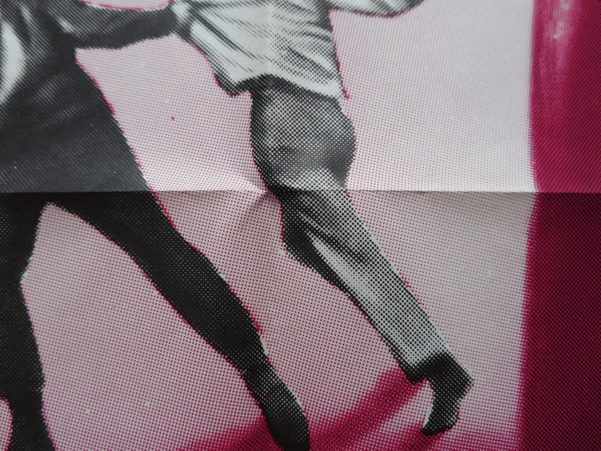 WILD SEED FOLDED US ONE SHEET POSTER MICHAEL PARKS CELIA KAYE 1965 Rendezvous Cinema Movie posters