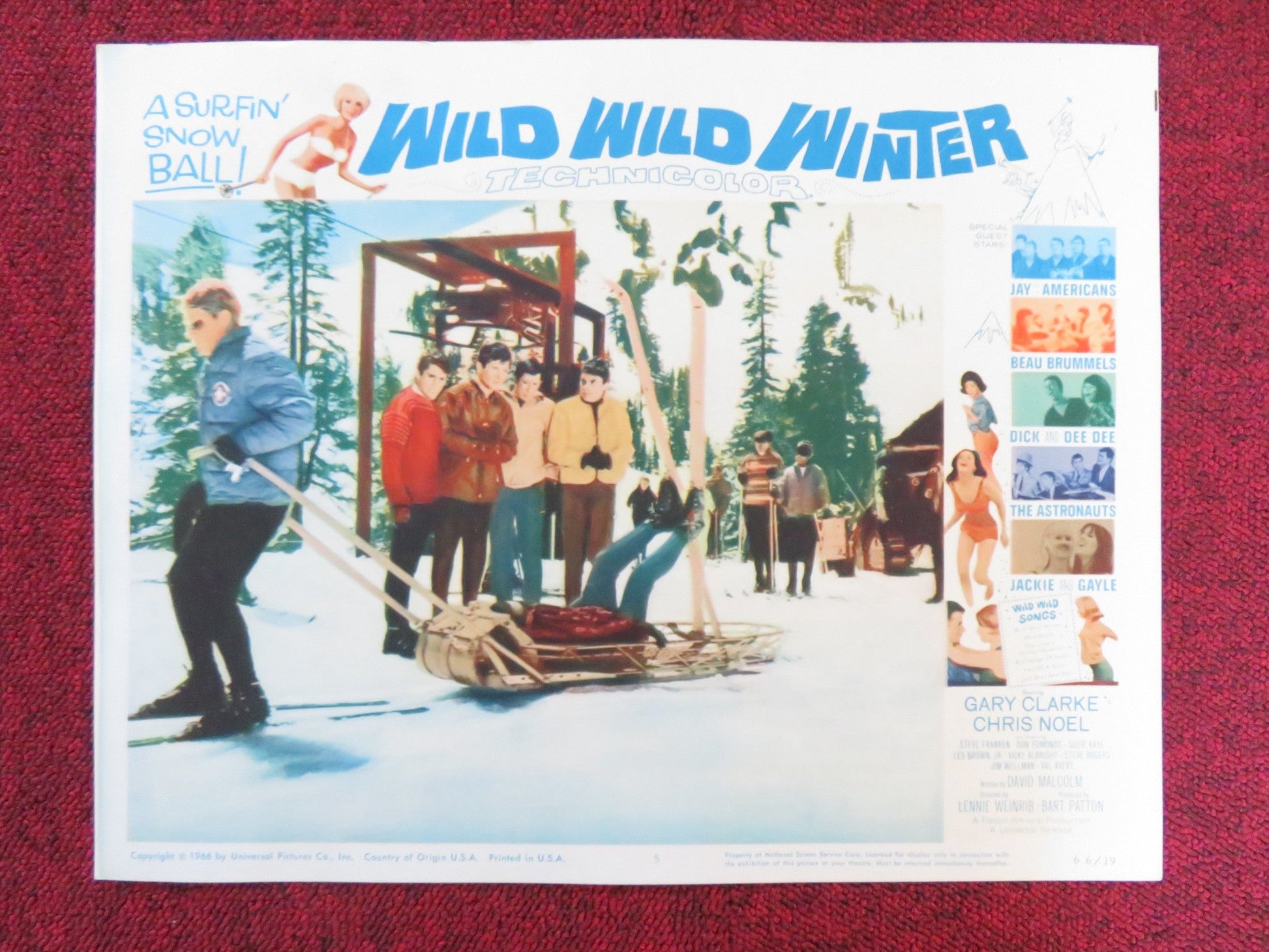 WILD WILD WINTER US LOBBY CARD FULL SET GARY CLARKE CHRIS NOEL 1966 Rendezvous Cinema Movie posters