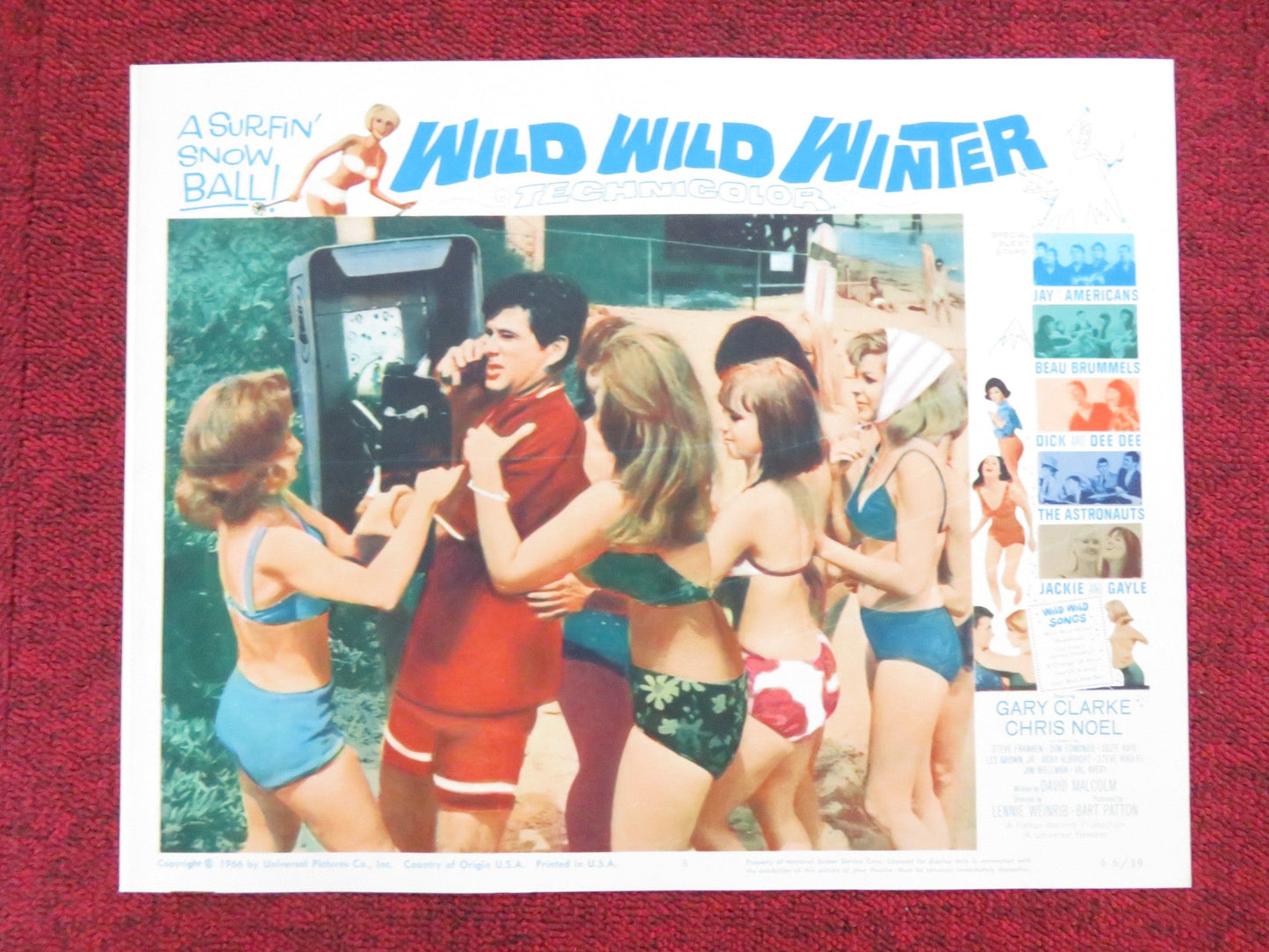 WILD WILD WINTER US LOBBY CARD FULL SET GARY CLARKE CHRIS NOEL 1966 Rendezvous Cinema Movie posters