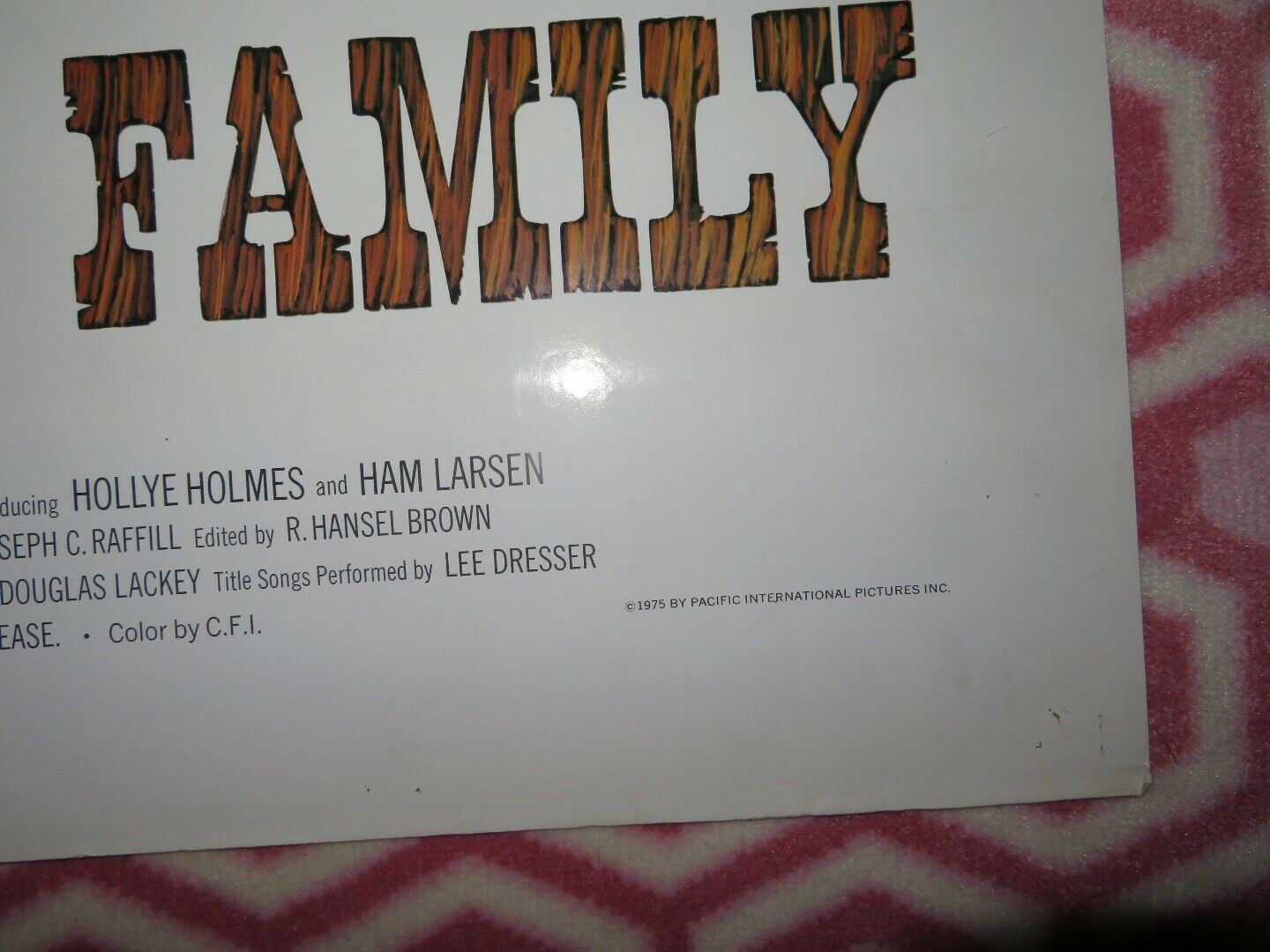 WILDERNESS FAMILY US ONE SHEET POSTER ROBERT F.LOGAN HOLLYE HOLMES 1975 Movie posters