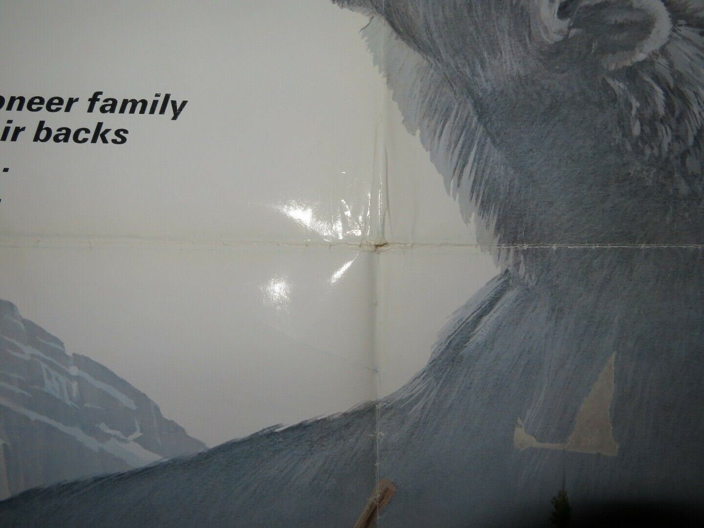 WILDERNESS FAMILY US ONE SHEET POSTER ROBERT F.LOGAN HOLLYE HOLMES 1975 Movie posters