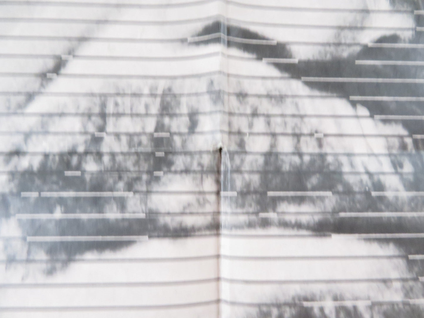 WILL PENNY FOLDED US ONE SHEET POSTER CHARLTON HESTON JOAN HACKETT 1967 Rendezvous Cinema Movie posters