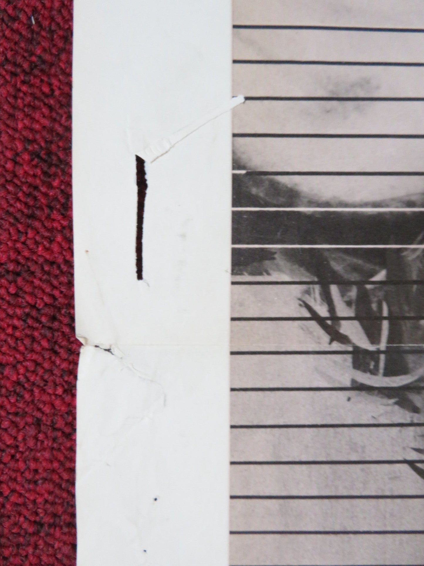 WILL PENNY FOLDED US ONE SHEET POSTER CHARLTON HESTON JOAN HACKETT 1967 Rendezvous Cinema Movie posters