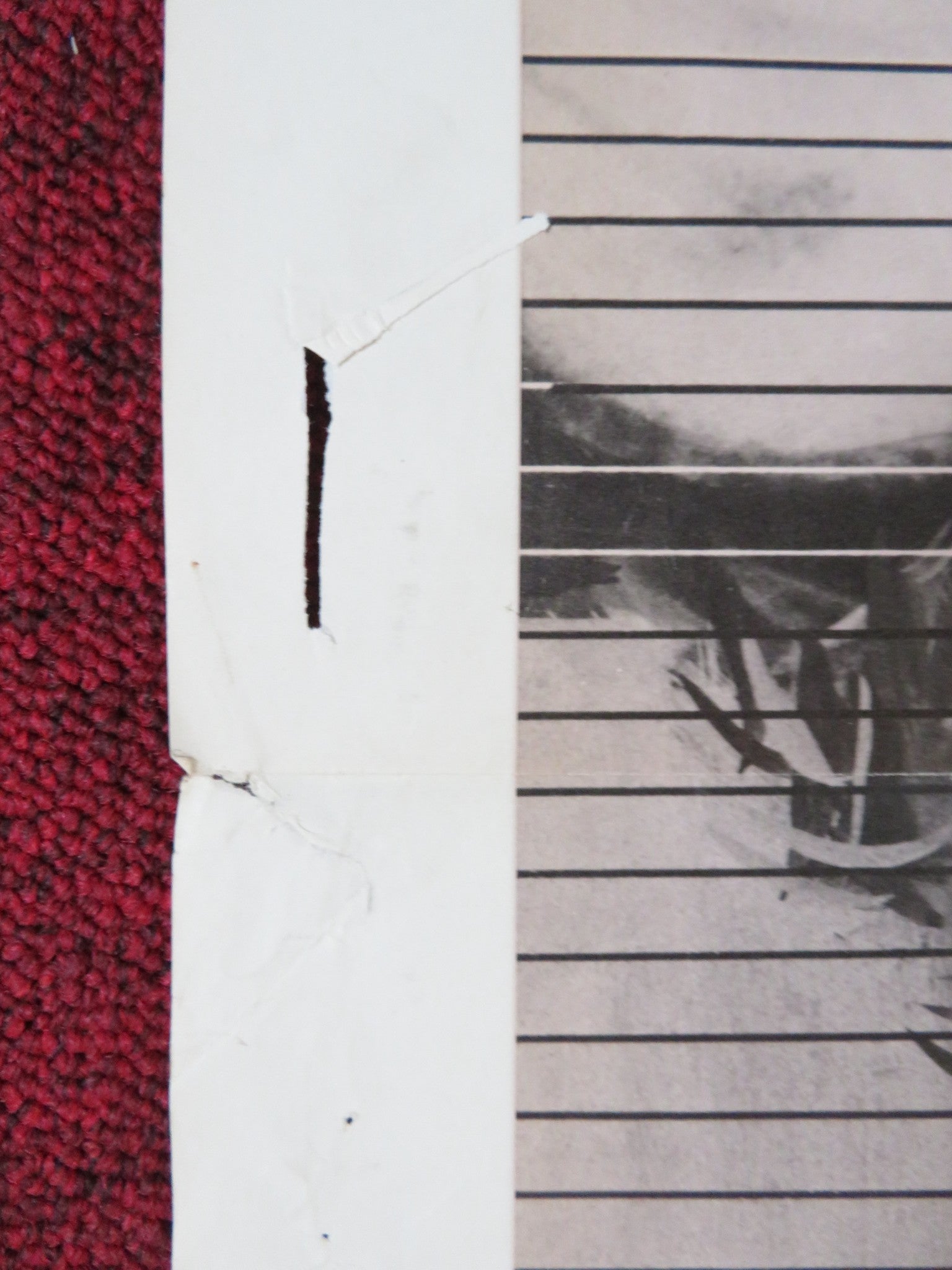 WILL PENNY FOLDED US ONE SHEET POSTER CHARLTON HESTON JOAN HACKETT 1967 Rendezvous Cinema Movie posters