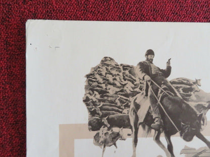 WILL PENNY US HALF SHEET (22"x 28") POSTER CHARLTON HESTON JOAN HACKETT 1967 Movie posters