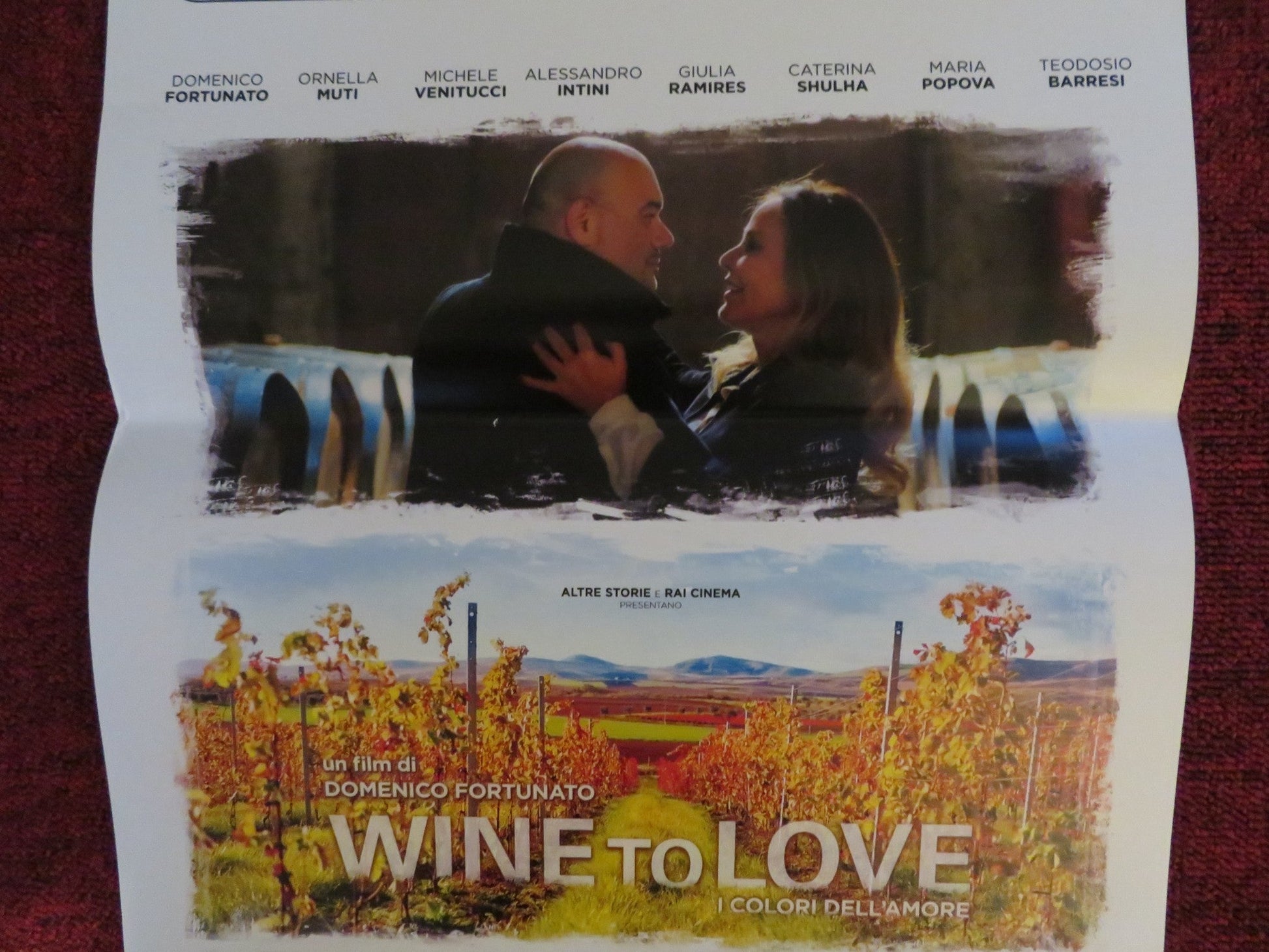 WINE TO LOVE ITALIAN LOCANDINA POSTER JANE ALEXANDER TEODOSIO BARRESI 2018 Rendezvous Cinema Movie posters