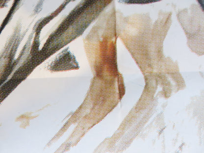 WINTERHAWK ITALIAN 2 FOGLIO POSTER MICHAEL DANTE LEIF ERICKSON 1975 Rendezvous Cinema Movie posters