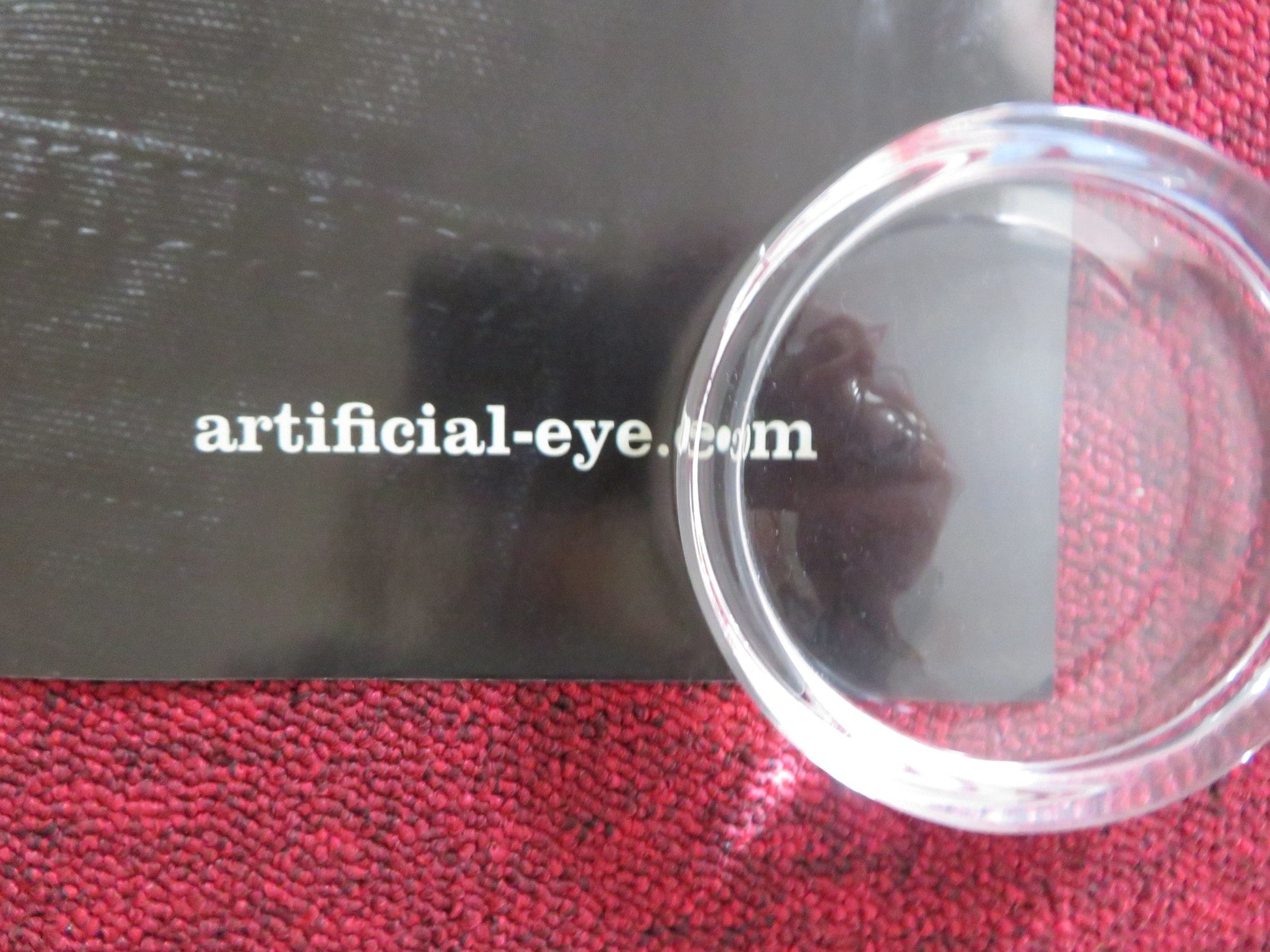 WINTER'S BONE UK QUAD (30"x 40") ROLLED POSTER JENNIFER LAWRENCE I. STONE 2010 Rendezvous Cinema Movie posters