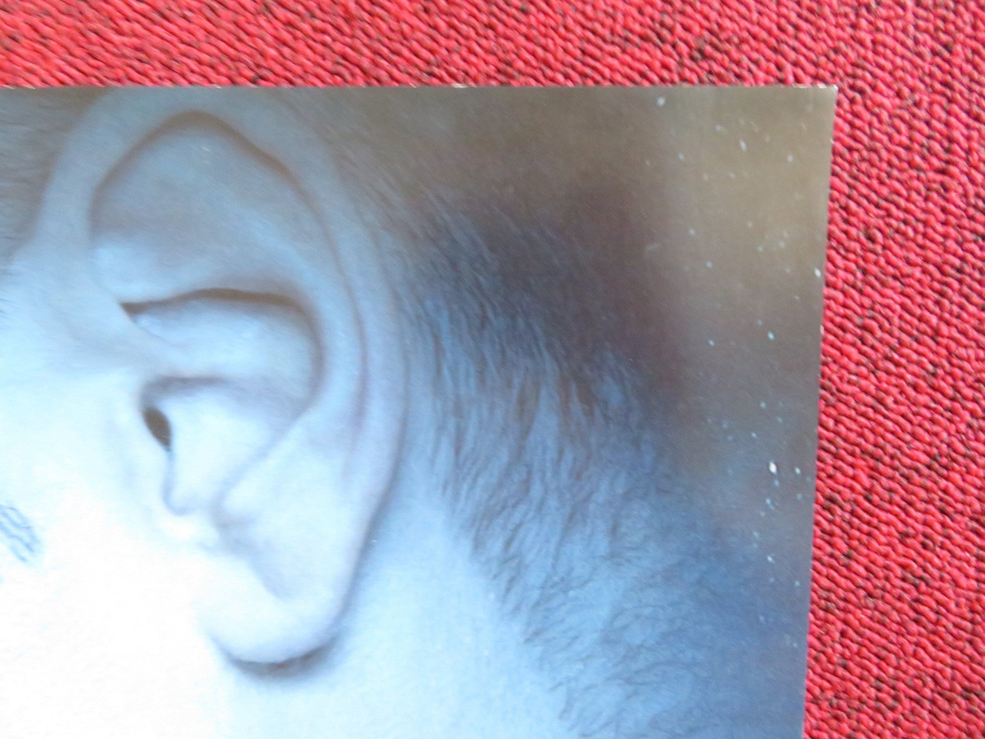 WINTER'S TALE US ONE SHEET ROLLED POSTER COLIN FARRELL MATT BOMER 2014 Rendezvous Cinema Movie posters