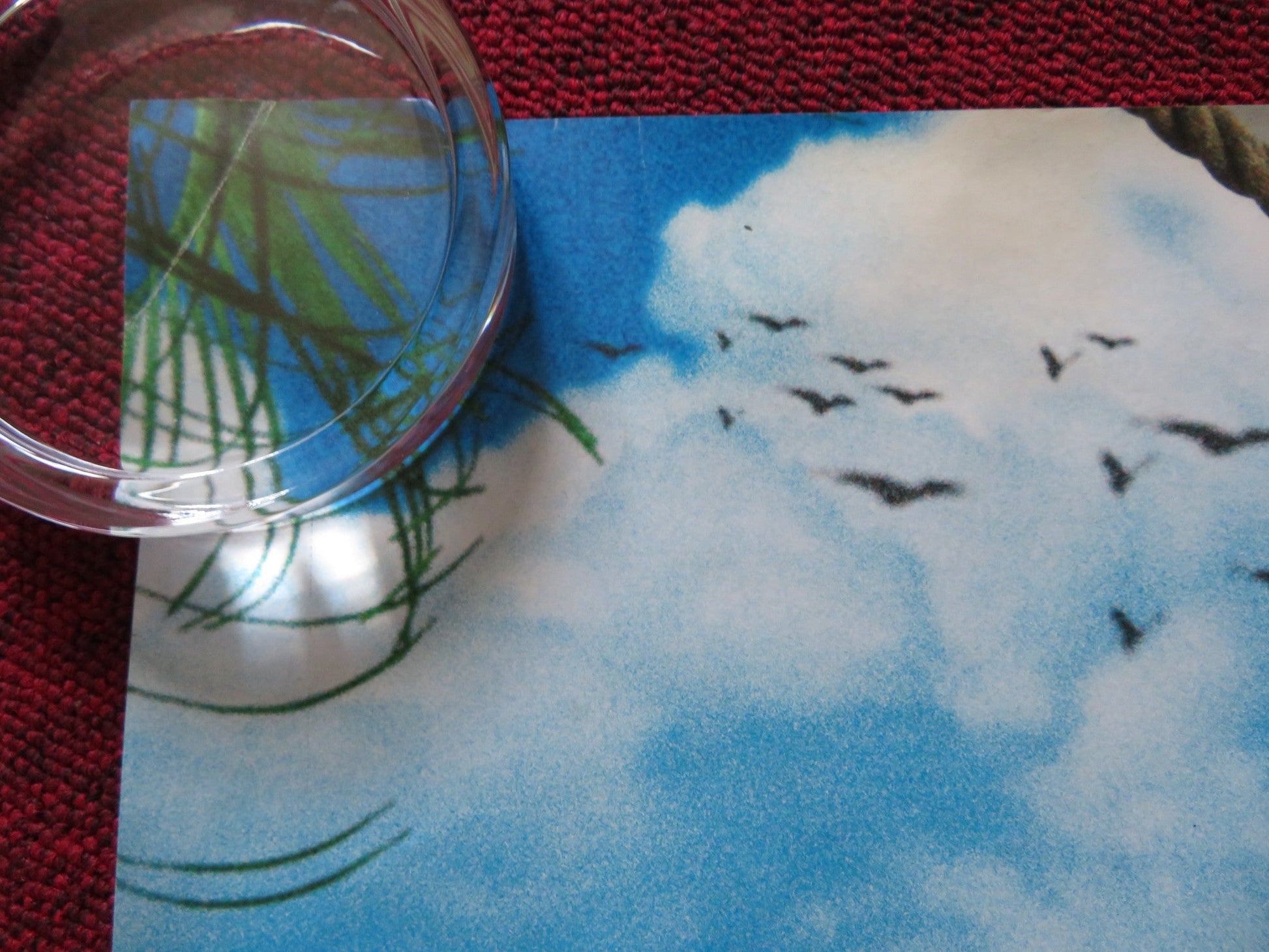 WITHOUT A PADDLE UK QUAD (30"x 40") ROLLED POSTER SETH GREEN DAX SHEPARD 2004 Rendezvous Cinema Movie posters