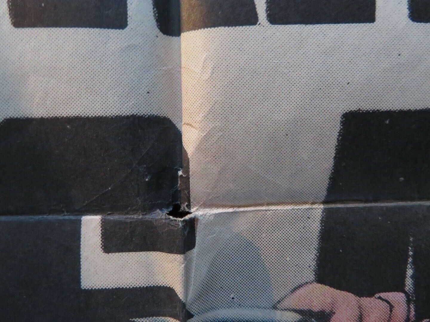 WITHOUT WARNING FOLDED US ONE SHEET POSTER ADAM WILLIAMS MEG RANDALL 1952 Movie posters