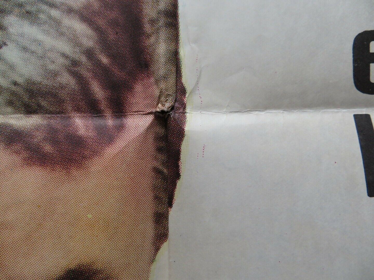 WOLF LAKE FOLDED ARGENTINA POSTER ROD STEIGER DAVID HUFFMAN 1980 - Rendezvous Cinema