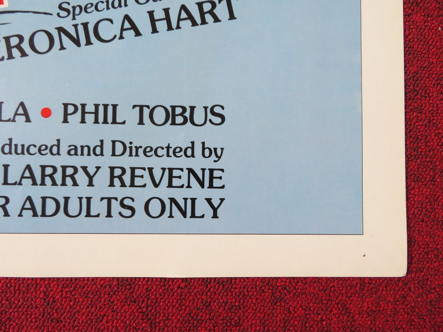 WOMAN IN LOVE: A STORY OF MADAME BO.. US TRI FOLDED ONE SHEET ROLLED POSTER 1978 Rendezvous Cinema Movie posters