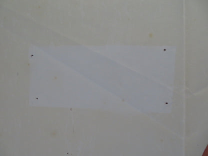 WOMAN IN RED FOLDED SPANISH POSTER GENE WILDER KELLY LE BROCK 1984 Rendezvous Cinema Movie posters