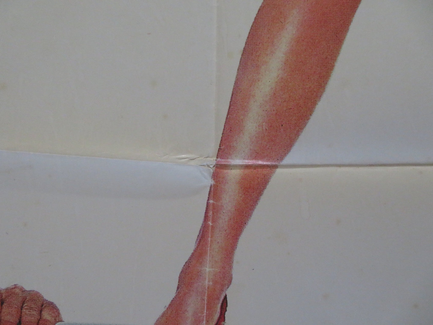 WOMAN IN RED FOLDED SPANISH POSTER GENE WILDER KELLY LE BROCK 1984 Rendezvous Cinema Movie posters