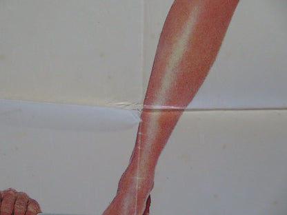 WOMAN IN RED FOLDED SPANISH POSTER GENE WILDER KELLY LE BROCK 1984 Rendezvous Cinema Movie posters