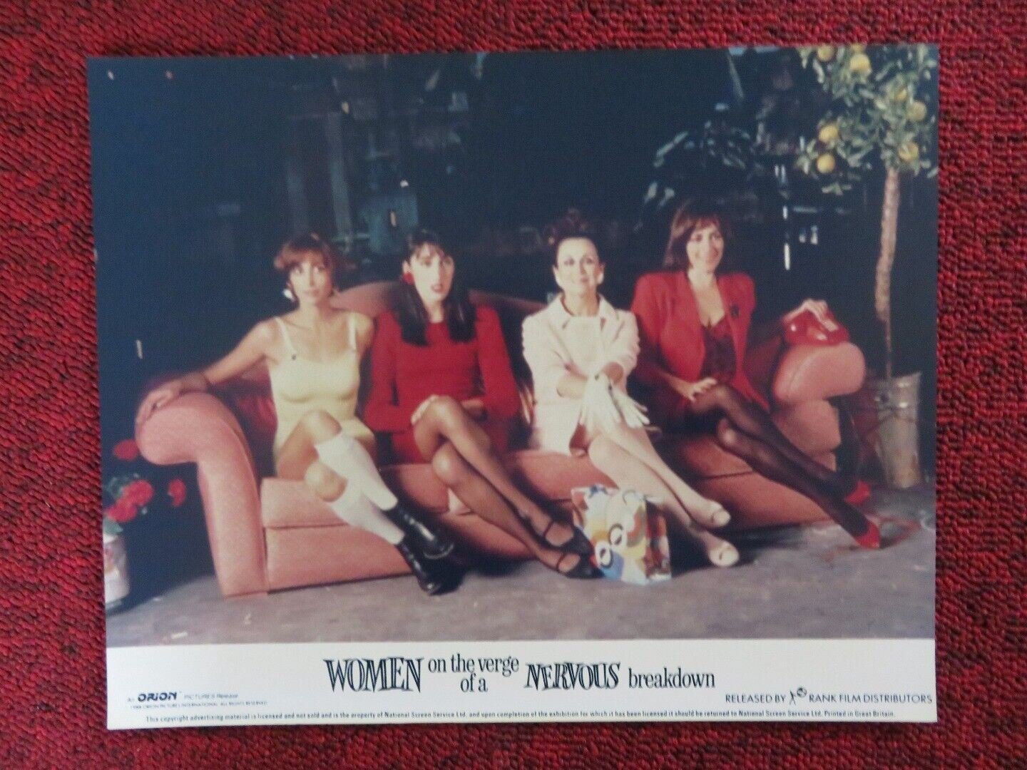 WOMEN ON THE VERGE OF A NERVOUS BREAKDOWN - F LOBBY CARD MARIA BARRANCO 1988 Movie posters