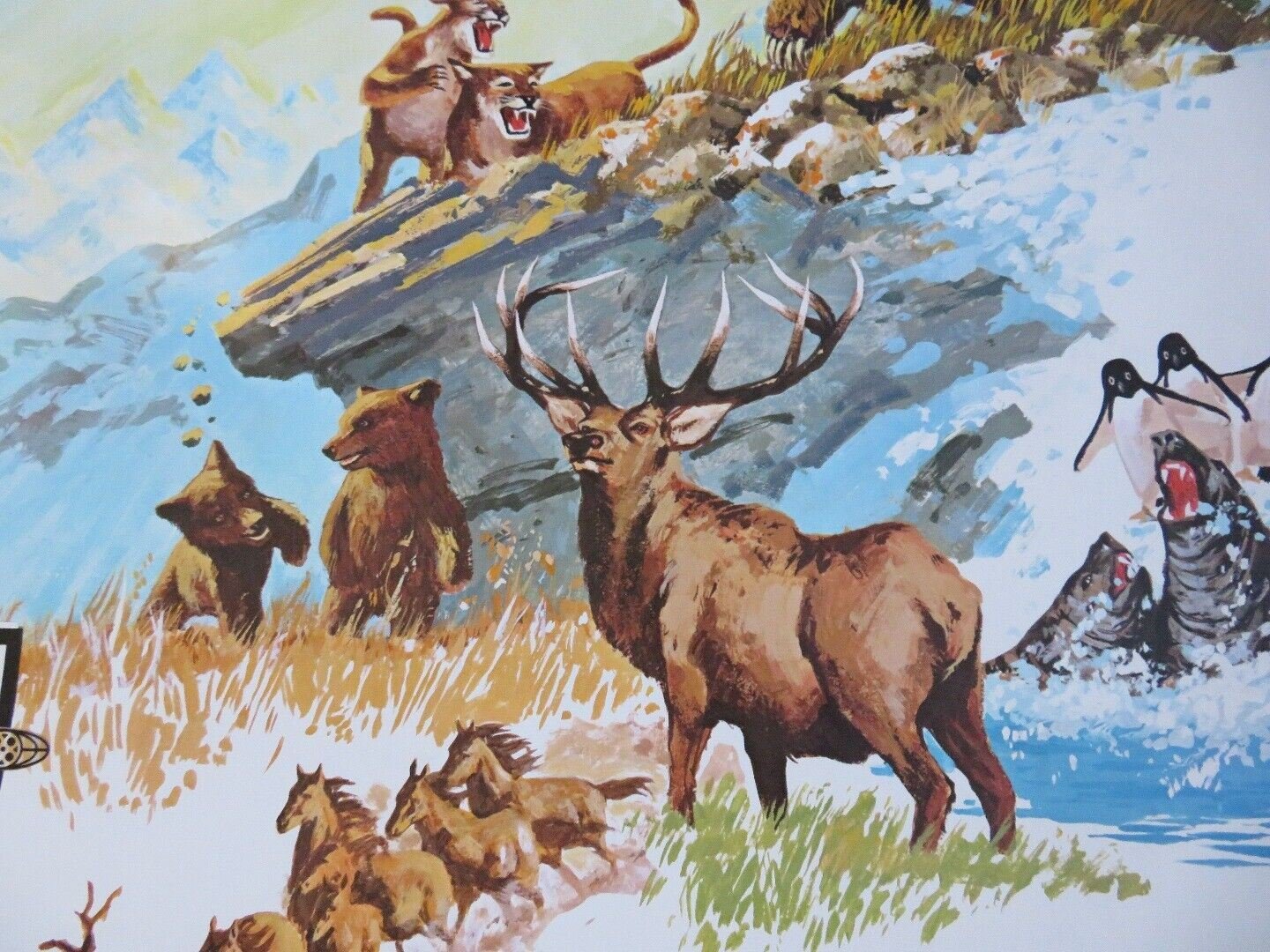 WONDER OF IT ALL US ONE SHEET ROLLED POSTER LES BIEGEL 1974 Movie posters