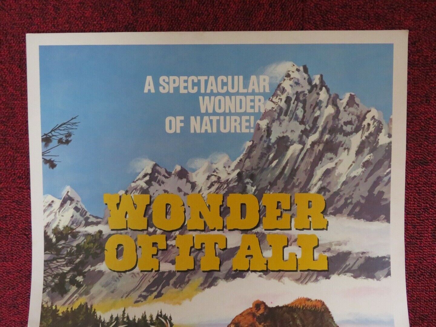 WONDER OF IT ALL WINDOW CARD LES BIEGEL 1974 Movie posters