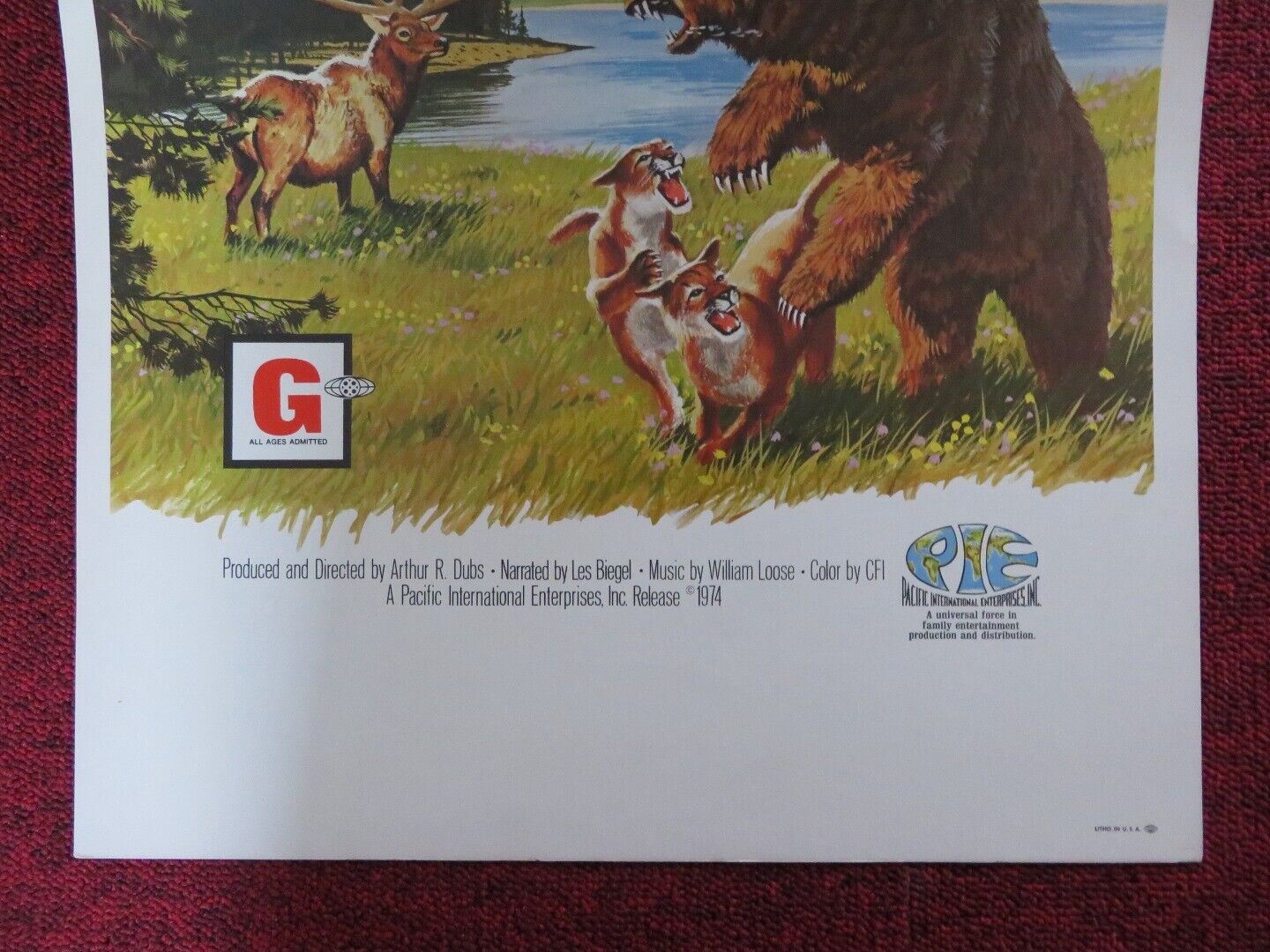 WONDER OF IT ALL WINDOW CARD LES BIEGEL 1974 Movie posters