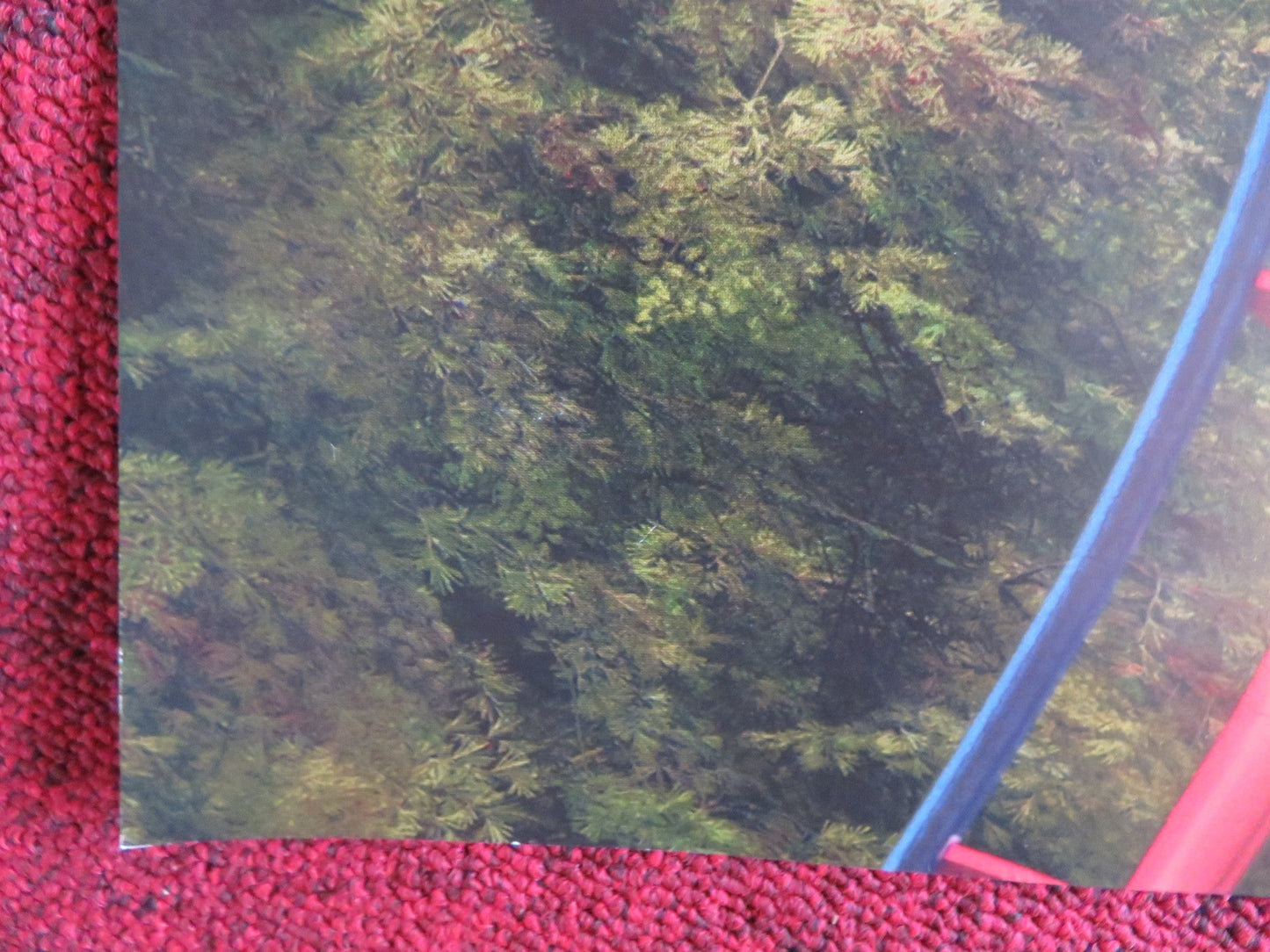 WONDER PARK UK QUAD (30"x 40") ROLLED POSTER MILA KUNIS MATTHEW BRODERICK 2019 Rendezvous Cinema Movie posters