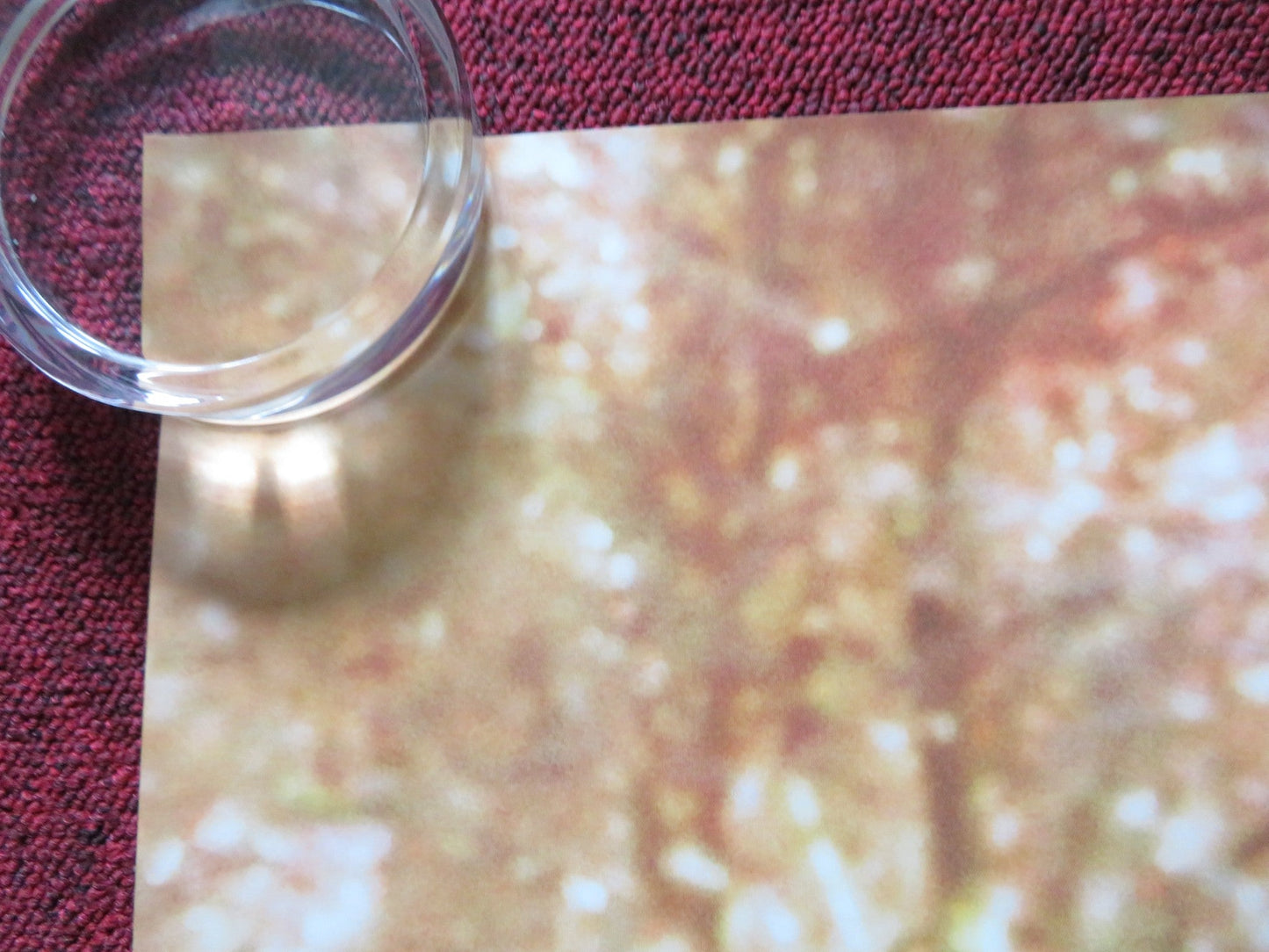 WONDER UK QUAD (30"x 40") ROLLED POSTER OWEN WILSON JACOB TREMBLAY 2017 Rendezvous Cinema Movie posters