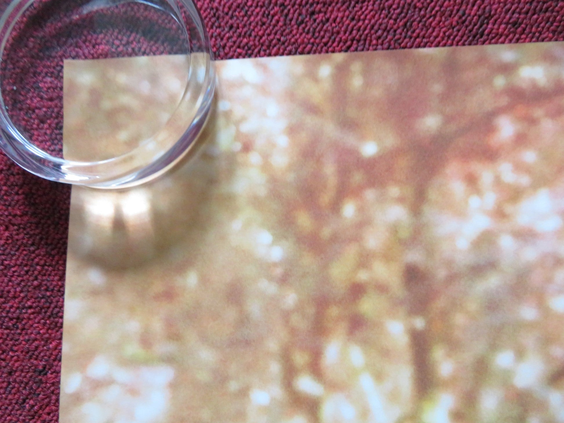 WONDER UK QUAD (30"x 40") ROLLED POSTER OWEN WILSON JACOB TREMBLAY 2017 Rendezvous Cinema Movie posters