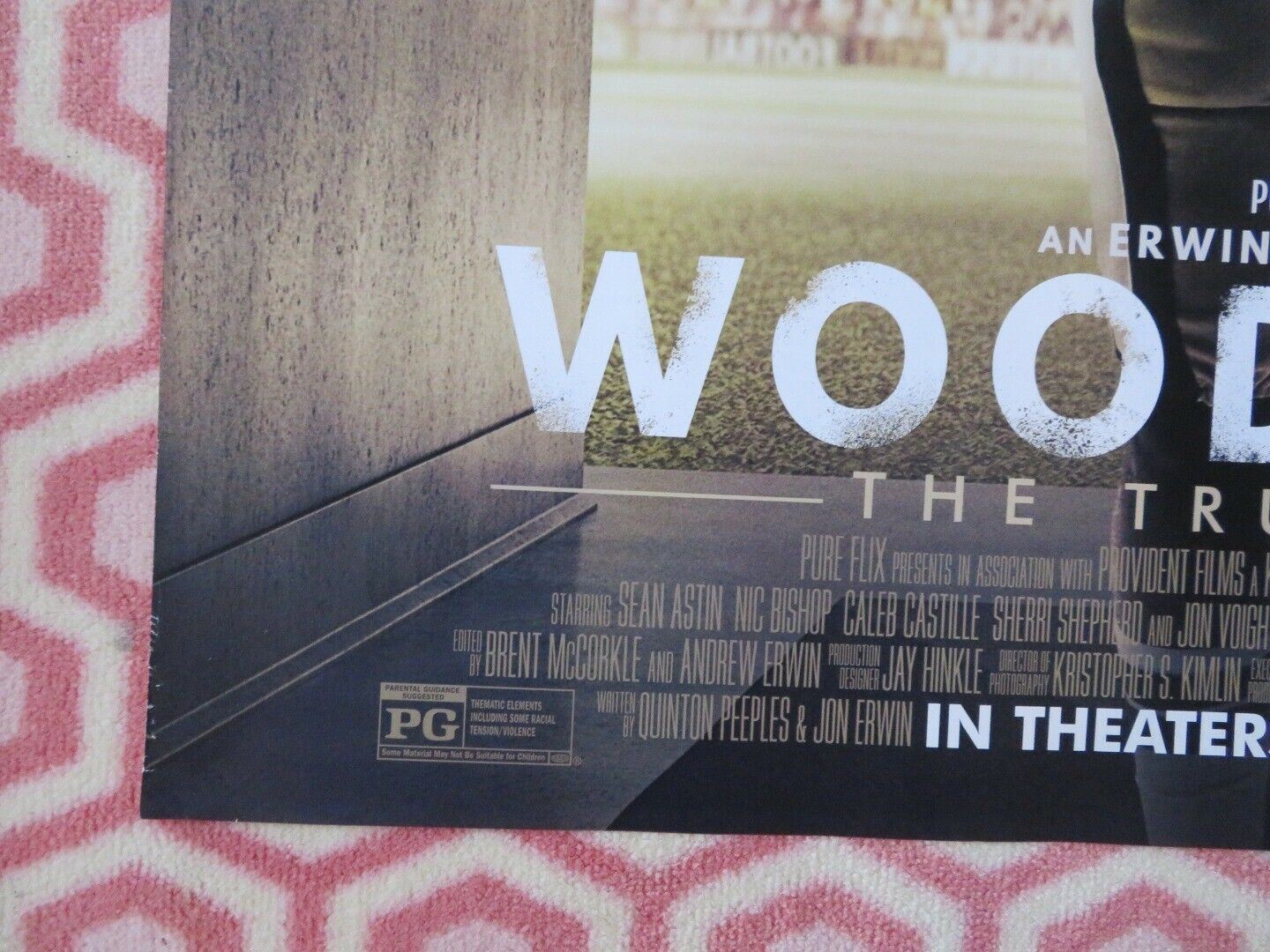 WOODLAWN US ONE SHEET ROLLED POSTER SEAN ASTIN NIC BISHOP 2015 - Rendezvous Cinema