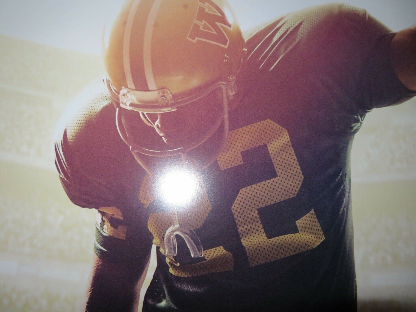 WOODLAWN US ONE SHEET ROLLED POSTER SEAN ASTIN NIC BISHOP 2015 - Rendezvous Cinema