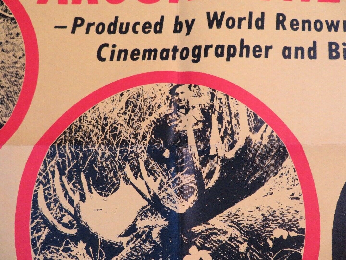 WORLD SAFARI US ONE SHEET POSTER RON HAYES FOOTAGE BIG GAME HUNTING Movie posters