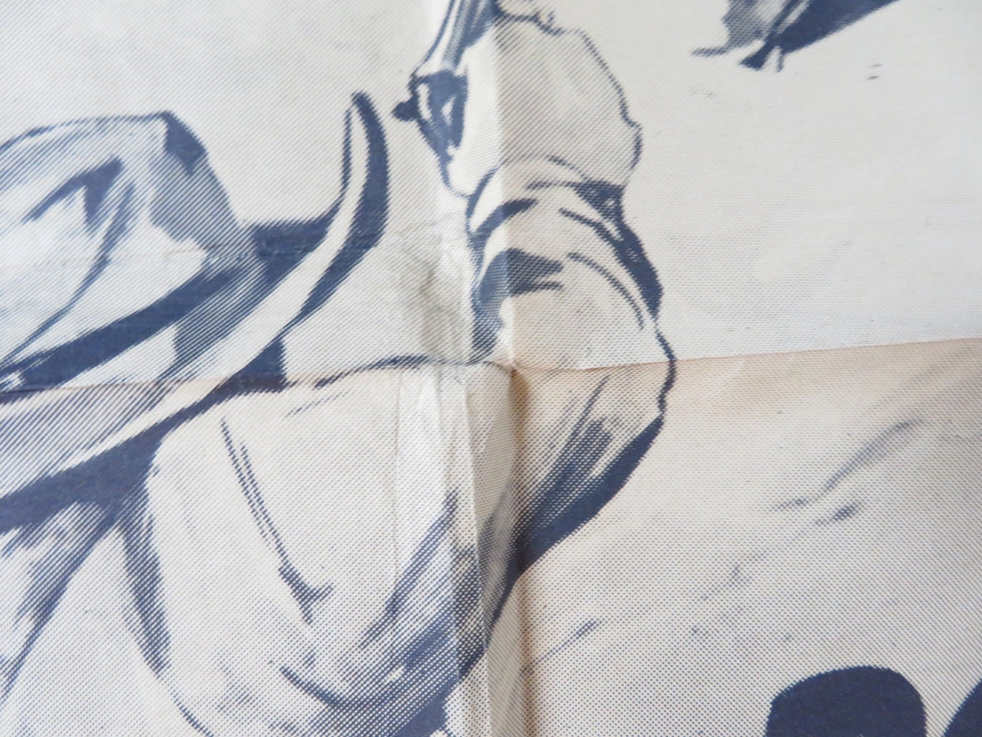 WYOMING WILDCAT FOLDED US ONE SHEET POSTER DON BARRY JULIE DUNGAN R1950 Rendezvous Cinema Movie posters